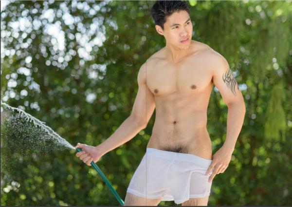 Brothers-Vol.14---Patch